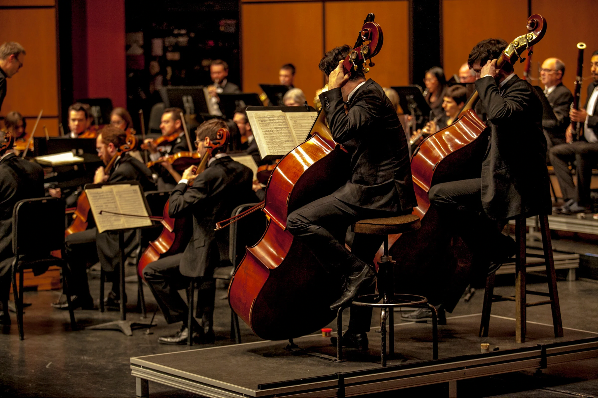Orchestra performing on stage